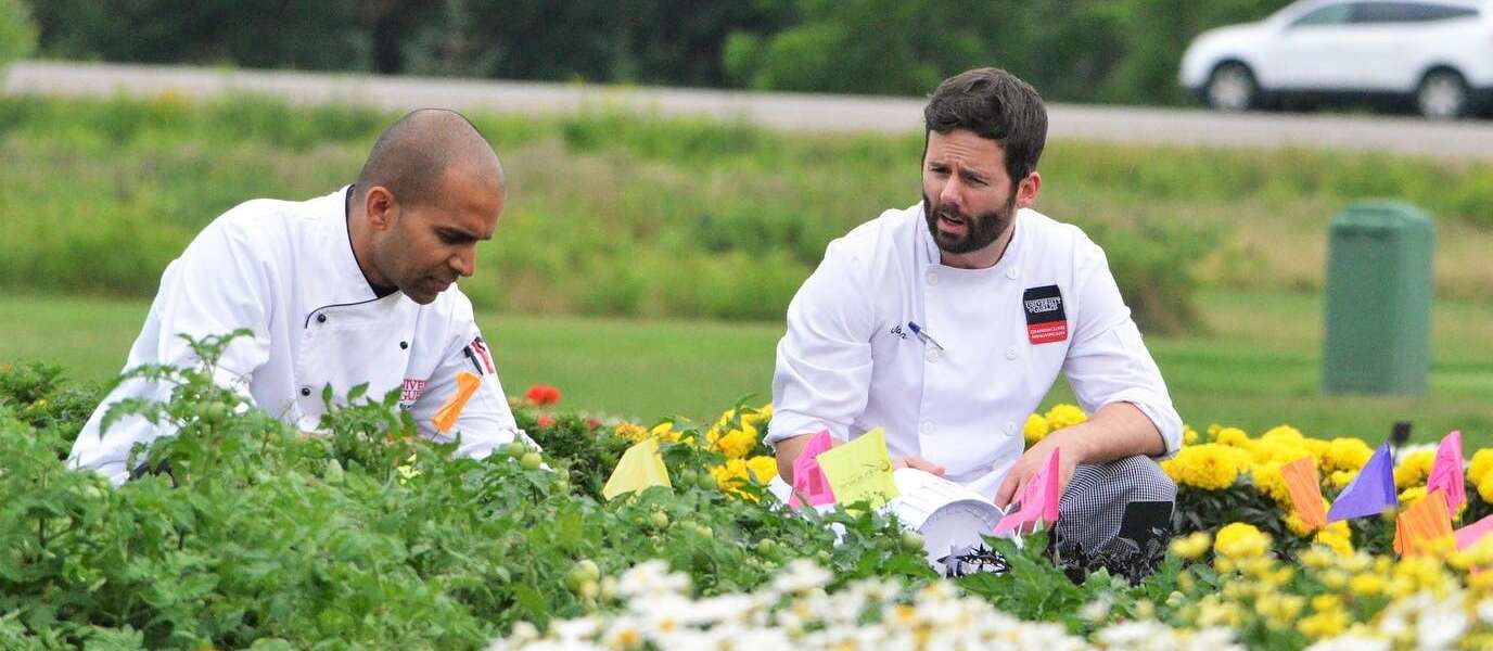 Two people in chef coats crouch in a garden to inspect tomatoes, while flowers grow nearby