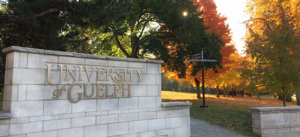 The words University of Guelph on a concrete stone wall sign with colourful fall trees behind