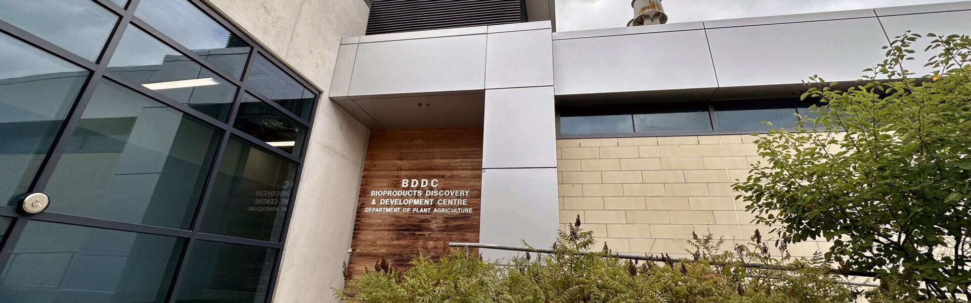 The exterior of the BDDC building, with large glass windows and metal-on-wood sign on with bushes in the foreground