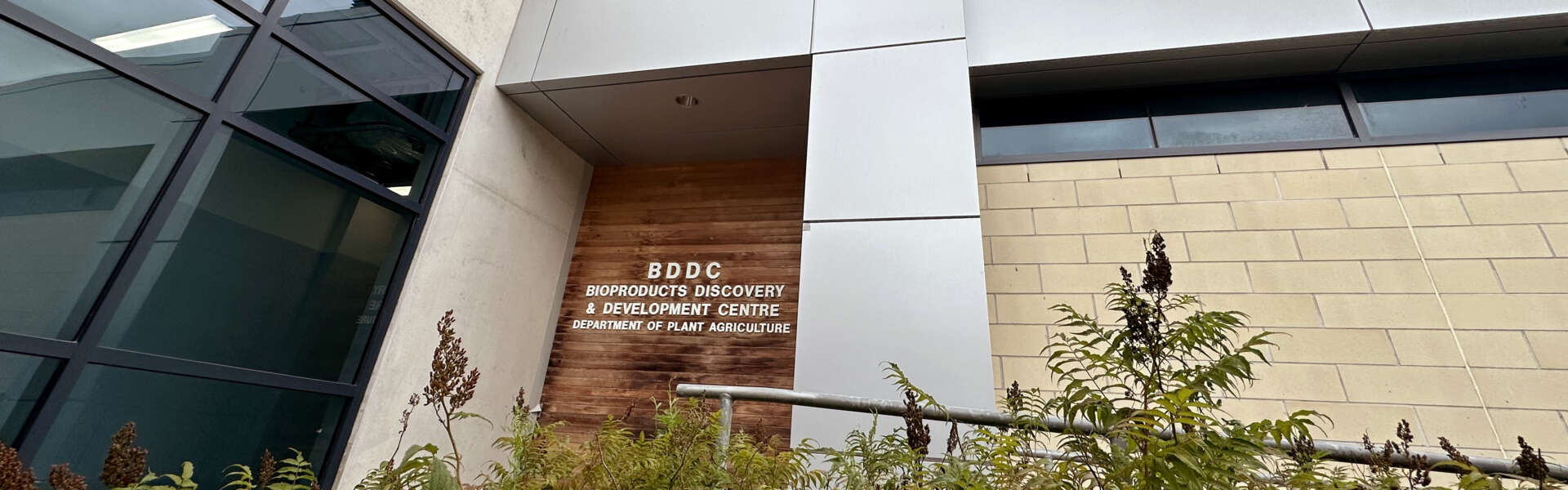 The exterior of the BDDC building, with large glass windows and metal-on-wood sign on with bushes in the foreground
