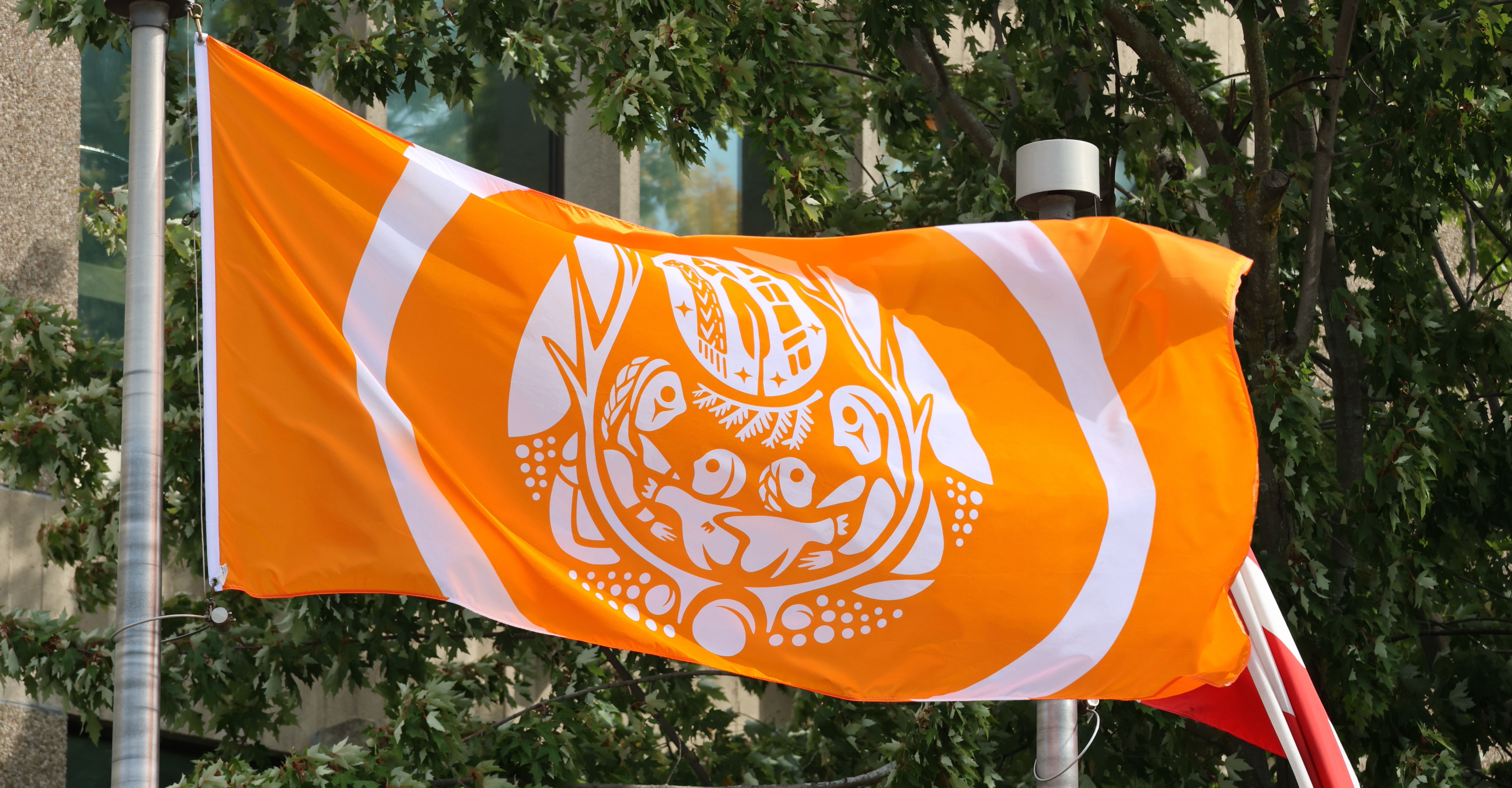 A closeup of an orange survivors flag portraying children reaching for adults