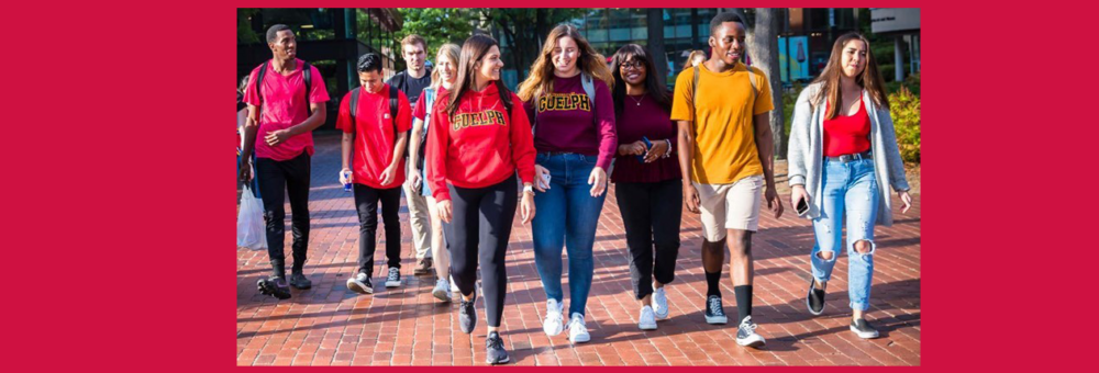 A group of 10 U of G students, some wearing sweatshirts with the word Guelph, walk in a row on a pathway across campus