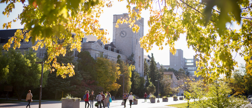 Looking through yellow leaves at Johnston Hall.