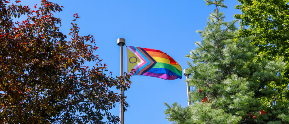 Pride Flag in between trees on U of G campus