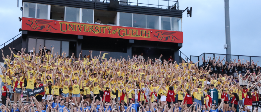 A crowd of students holds their arms up in the stands, half the group wears blue and half wears yellow