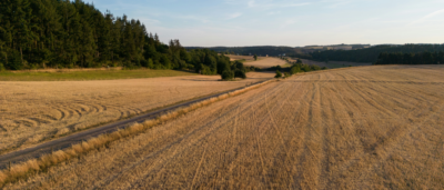 Global Food Production Is Shrinking Animals and Plants: U of G Study 