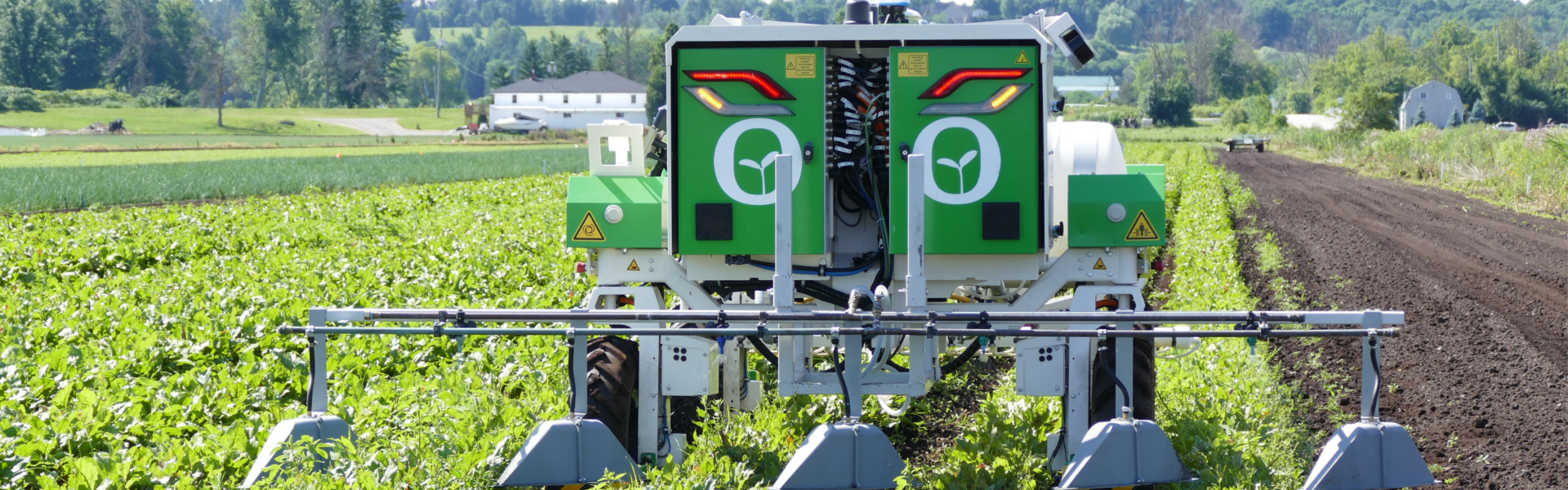 Robot on a field of carrots. The robot is a green boxed shape, coloured green with two stickers that represent eyes, with a bar over its wheels that is equipped with several hood components