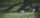 shallow focus photography of person walking on road between grass