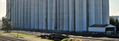 Expert Available: Grain Terminal Strike