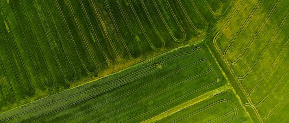 green farm land with lines from planting
