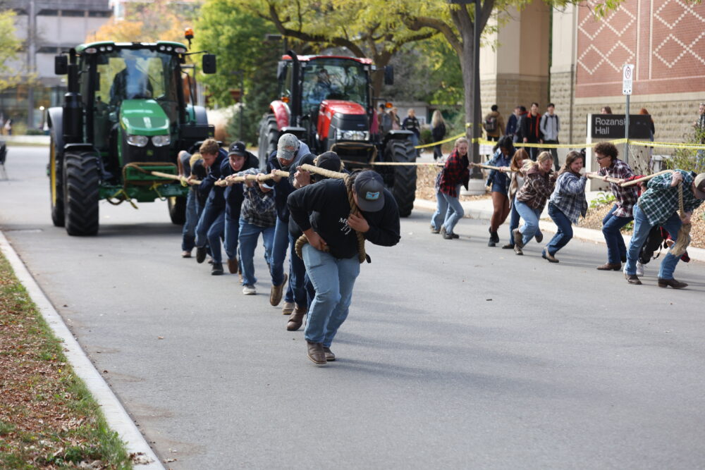 Two groups of students pull two different tractors by a rope on campus.