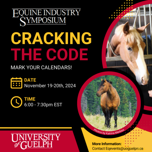 Cracking the code event poster with event details and pictures of horses.