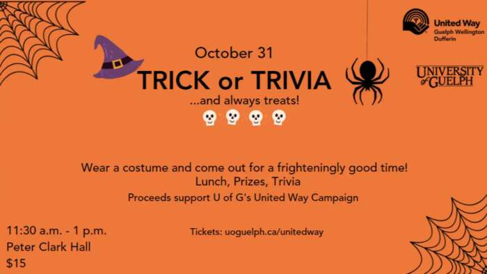 Trick or Trivia poster, decorated with bats.