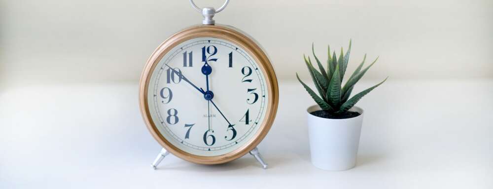 a clock next to a potted plant on a table