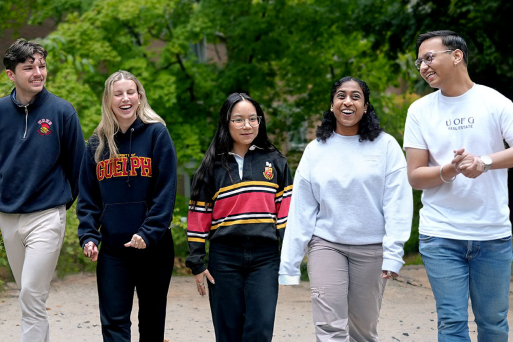 A group of five students walk down a path together.