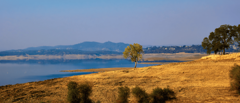 A natural landscape with a lake in the background surrounded by distant hills. The foreground features golden-brown grassland with scattered trees, including one standing alone prominently near the center. The sky is clear with a subtle gradient of blue.