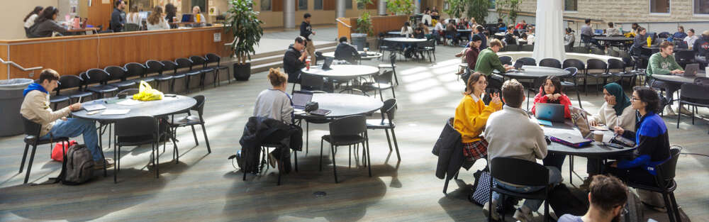students sit at round tables in a large, sunny room with a grey carpet