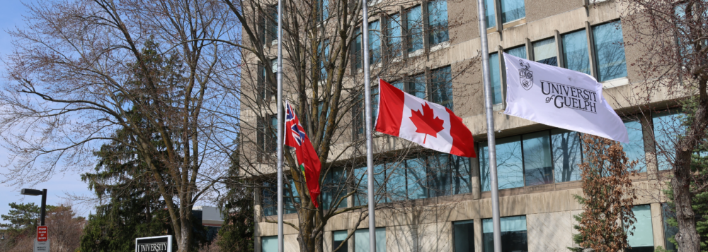The flags in front of the University Centre are at half-mast.