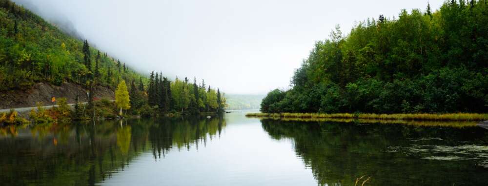 photo taken near body of water surrounded with trees