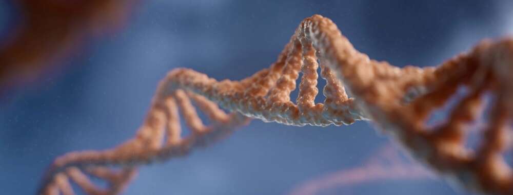 a graphic of the DNA double helix