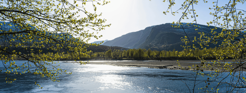A scenic river landscape framed by tree branches with fresh spring leaves. The river sparkles under sunlight, bordered by a sandbar and a dense line of trees in the distance. Behind them rise dark green forested mountains with patches of lingering snow, all beneath a clear blue sky.