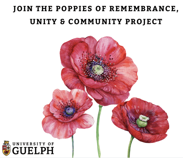 Join the poppies of remembrance unity and community project. Illustration of large red poppies.