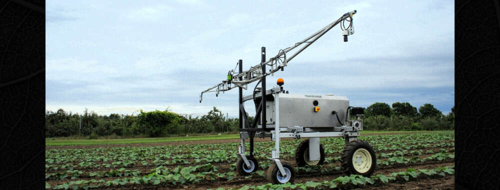 An autonomous agricultural robot with wide wheels and a long, horizontal sensor arm moves through rows of young green crops on a research farm. The robot is equipped with cameras, tubing, and mechanical arms, used for field scouting and precision spraying. In the background, a row of evenly spaced orchard trees stands beneath a cloudy sky