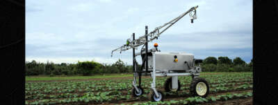 Weeding Out Inefficiency: U of G Engineer Developing Robotics for Lima Bean Farmers  