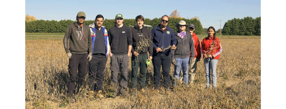 Eight people holding dried bean plants stand in a row in an autumn bean field