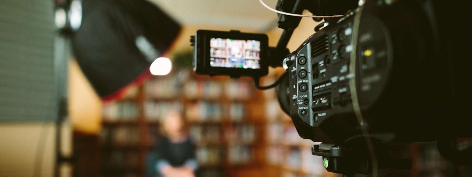 person sitting in front bookshelf