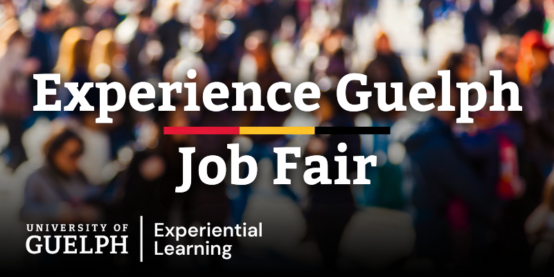 Experience Guelph Job Fair