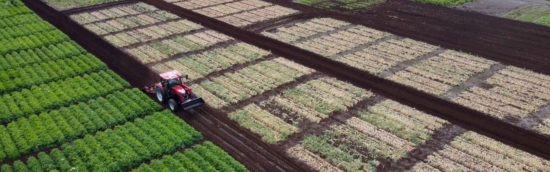 A drone view of a research plot at the crops research centre in Bradford