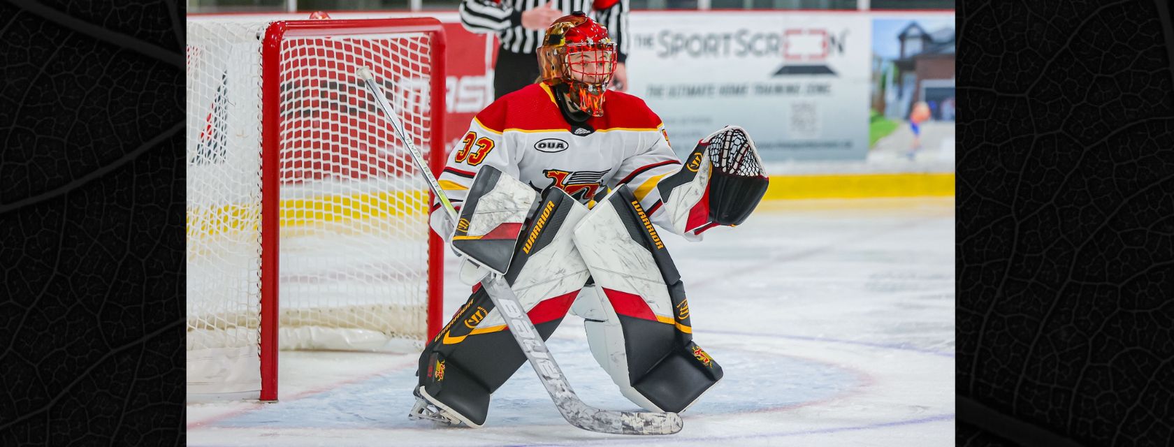 A goalie wearing a Gryphon uniform stands ready for action on the ice in front of the net with a ref standing behind her.