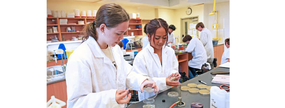 Students work at lab benches, handling materials in a bright laboratory setting.
