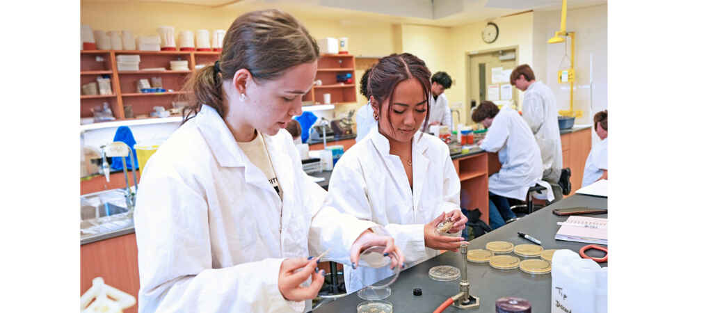 Undergrads Learning to Find New Antibiotics Through Unique Lab
