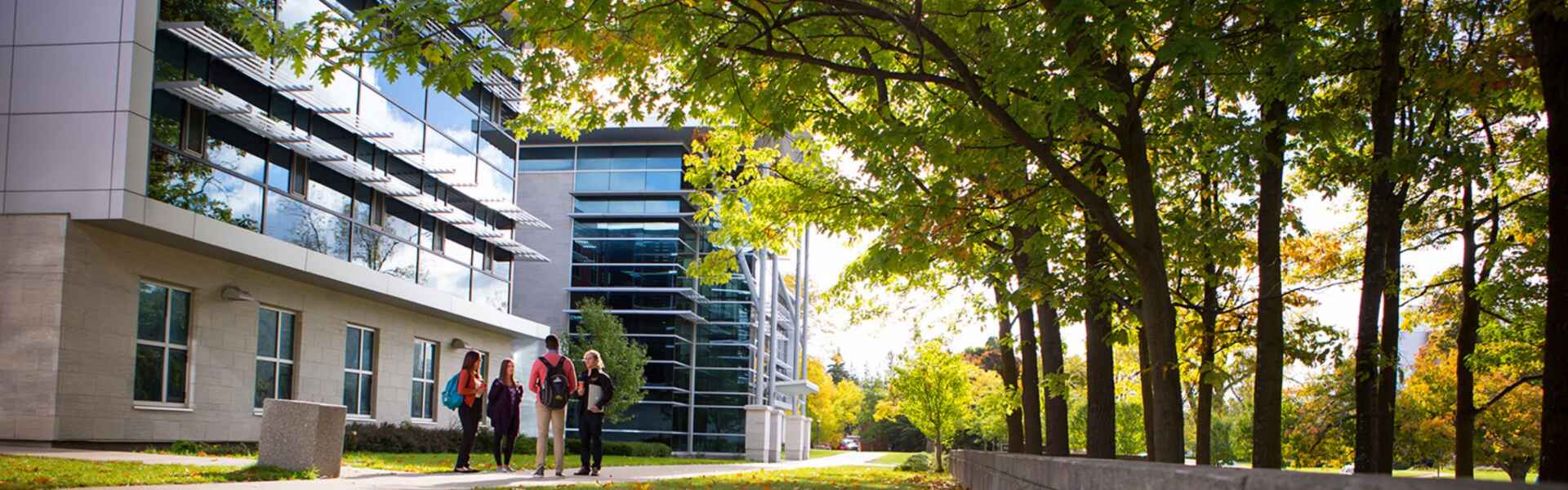 U of G Names Dr. Mazyar Fallah Vice-President (Research and Innovation)