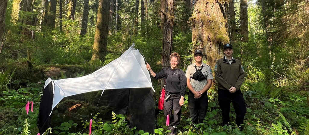 Got Bugs? U of G Collecting Samples to Catalogue Canada’s Biodiversity