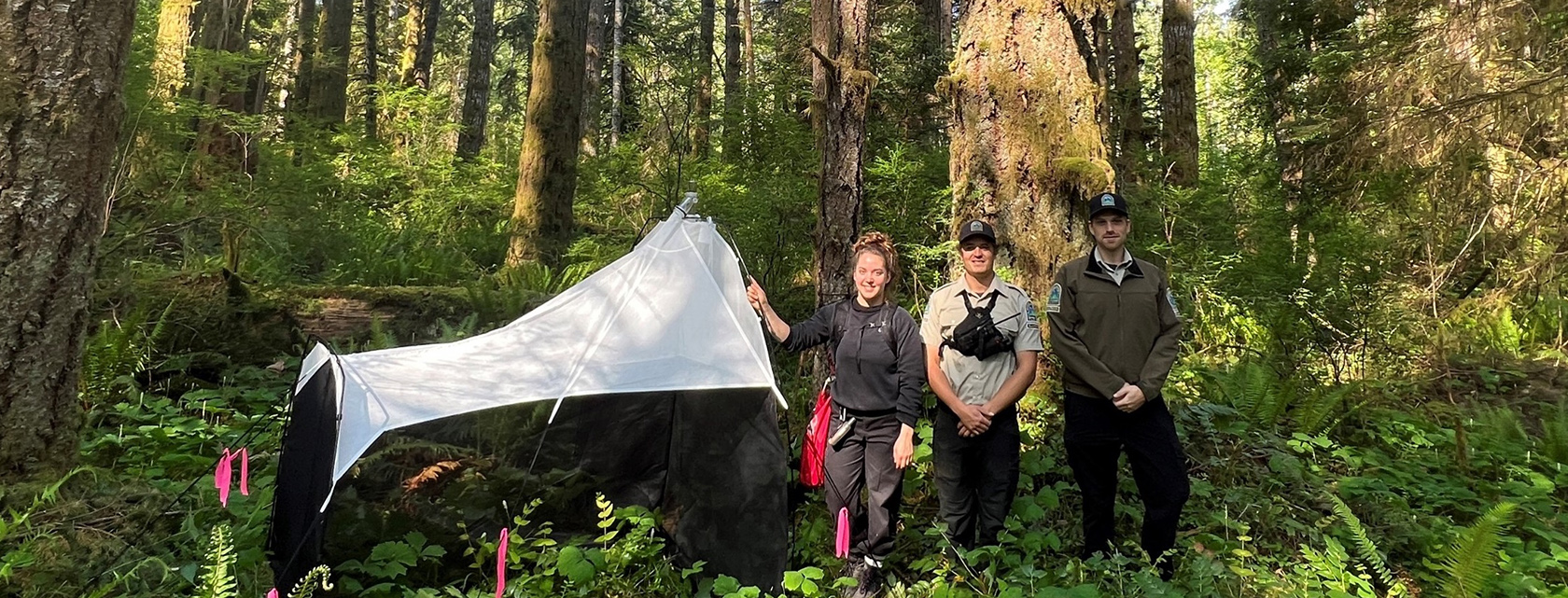 Got Bugs? U of G Collecting Samples to Catalogue Canada’s Biodiversity
