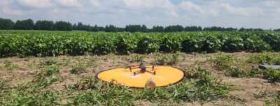 How Ag-Tech is Helping Manage Difficult Growing Conditions 