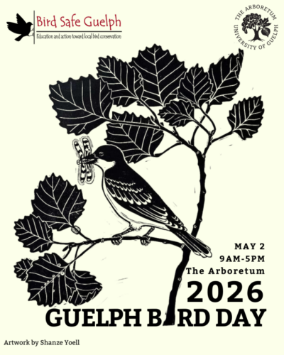 The event poster. A print of a bird perched on a branch eating a dragonfly. Bird safe Guelph and Arboretum Logos.