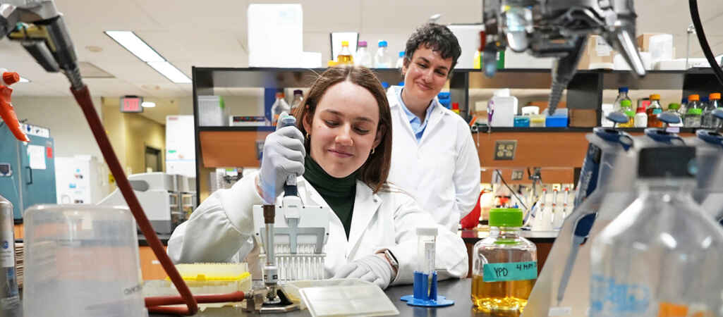 Faster Gene Screening Method Targets Deadly Fungus