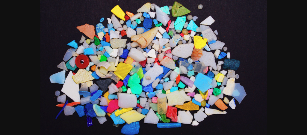 What Happens to Microplastics When Swallowed by Earthworms? | OPINION