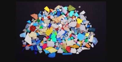 What Happens to Microplastics When Swallowed by Earthworms? | OPINION