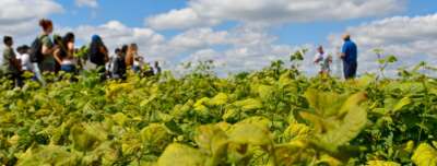 Meet the First Beans Designed with Help From AI 